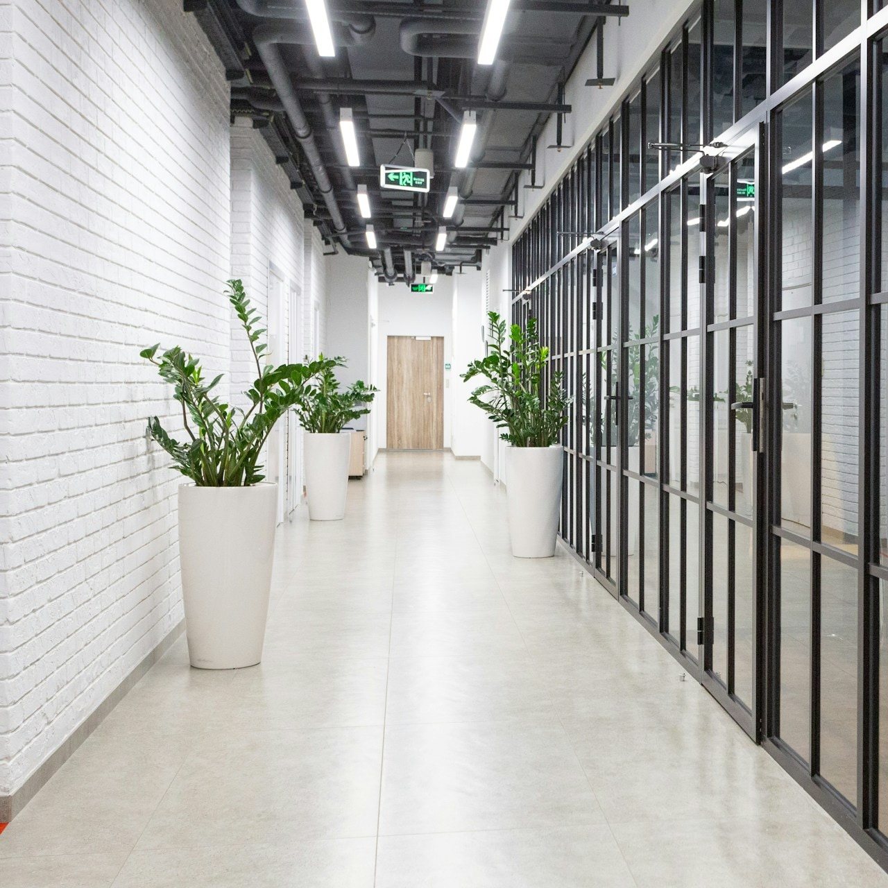 Sunny corridor with white brick walls and leafy potted plants