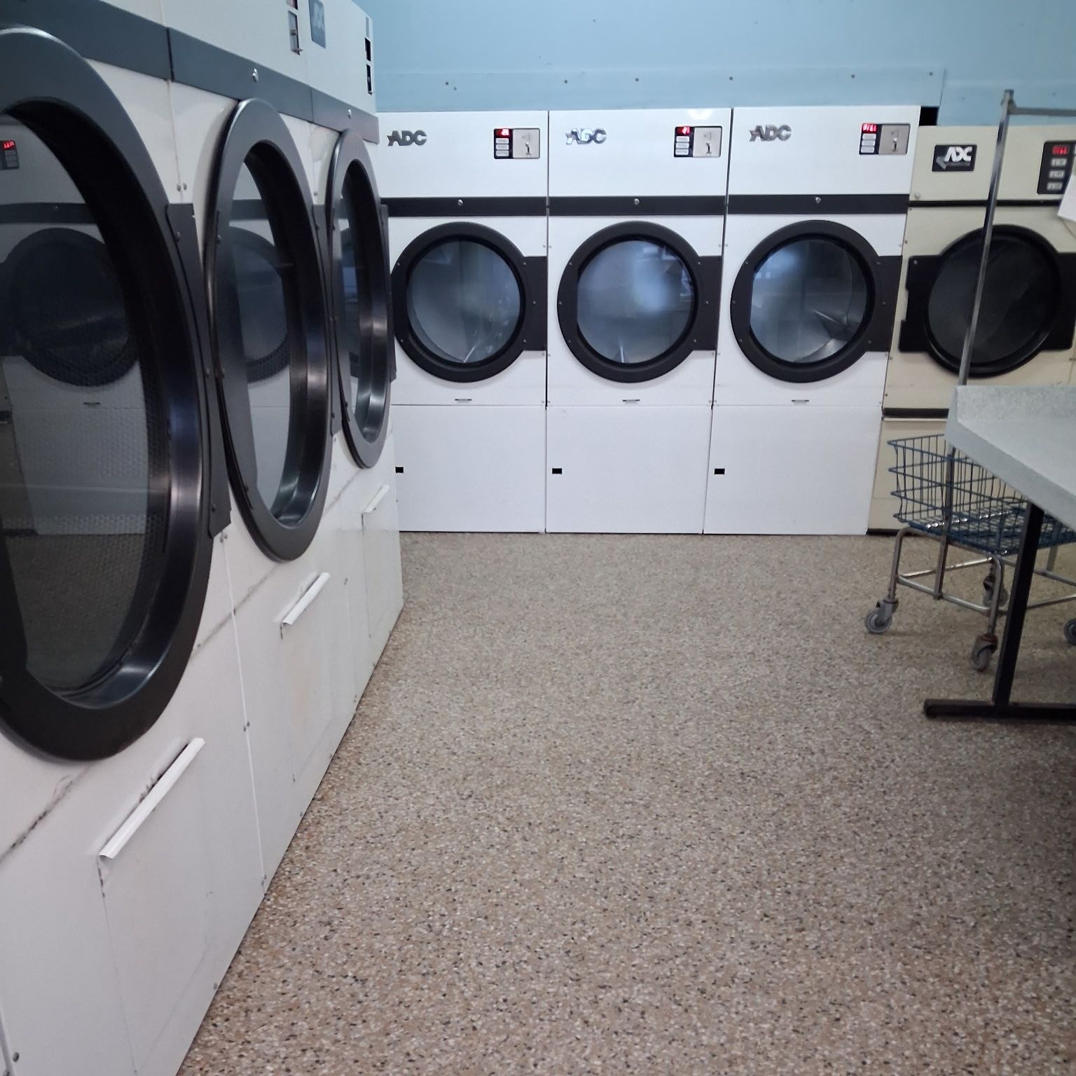 Bank of commercial dryers with fronts and glass wiped clean
