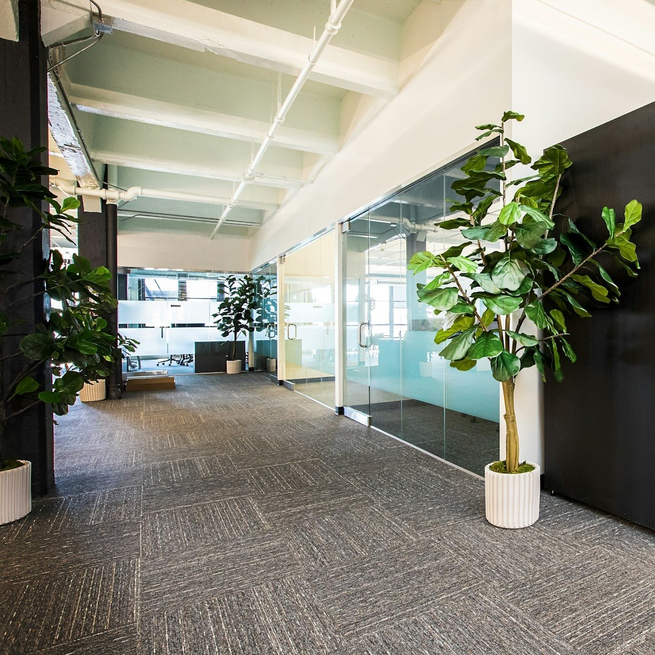 Office corridor with glass meeting rooms, phone booths, and potted plants