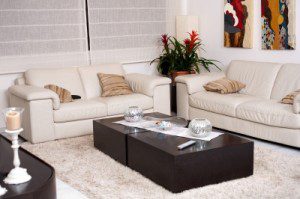 Green cleaning tips for living room