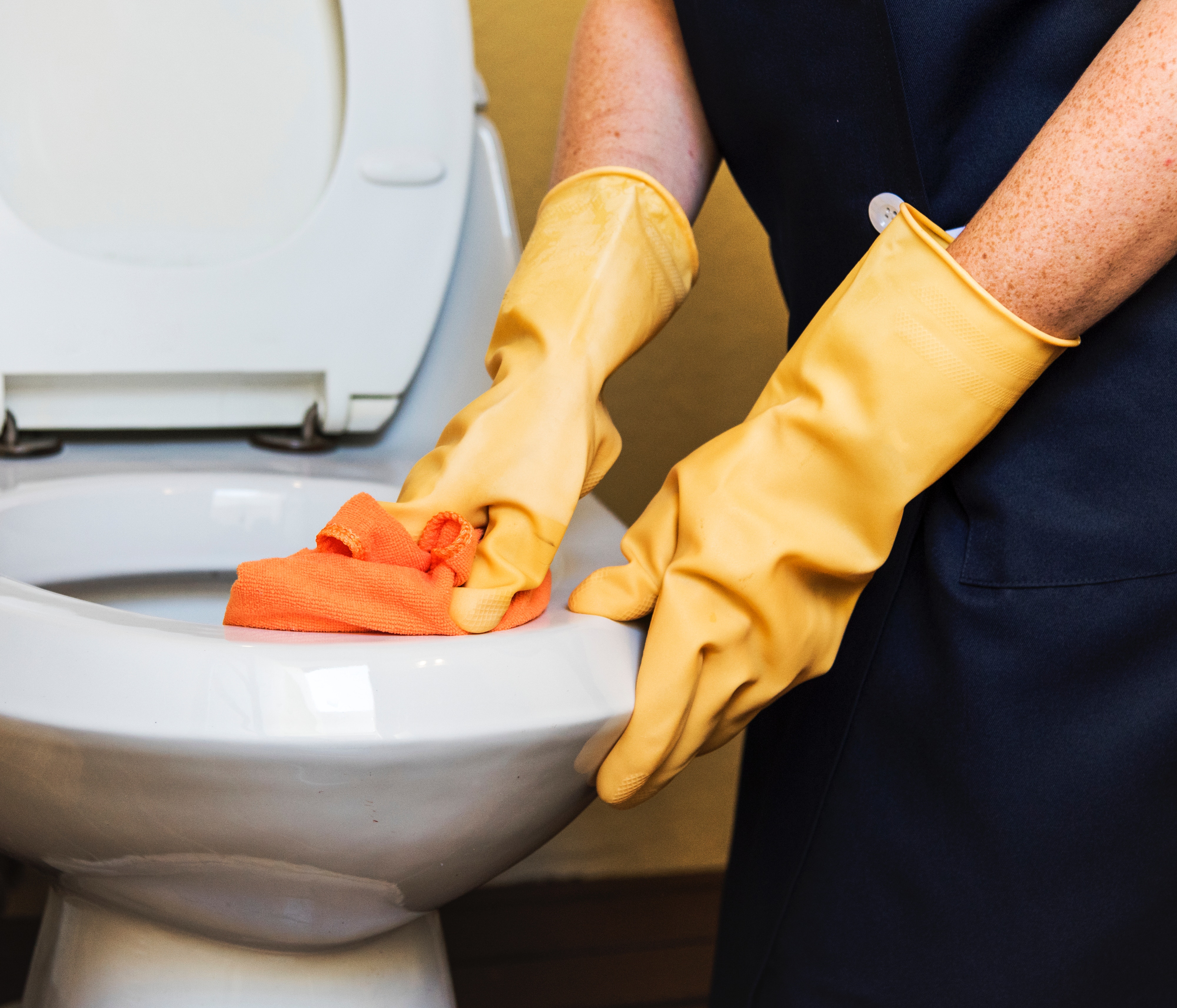 Maintenance cleaning services in Charlotte, NC